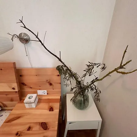 Apartman Munida *